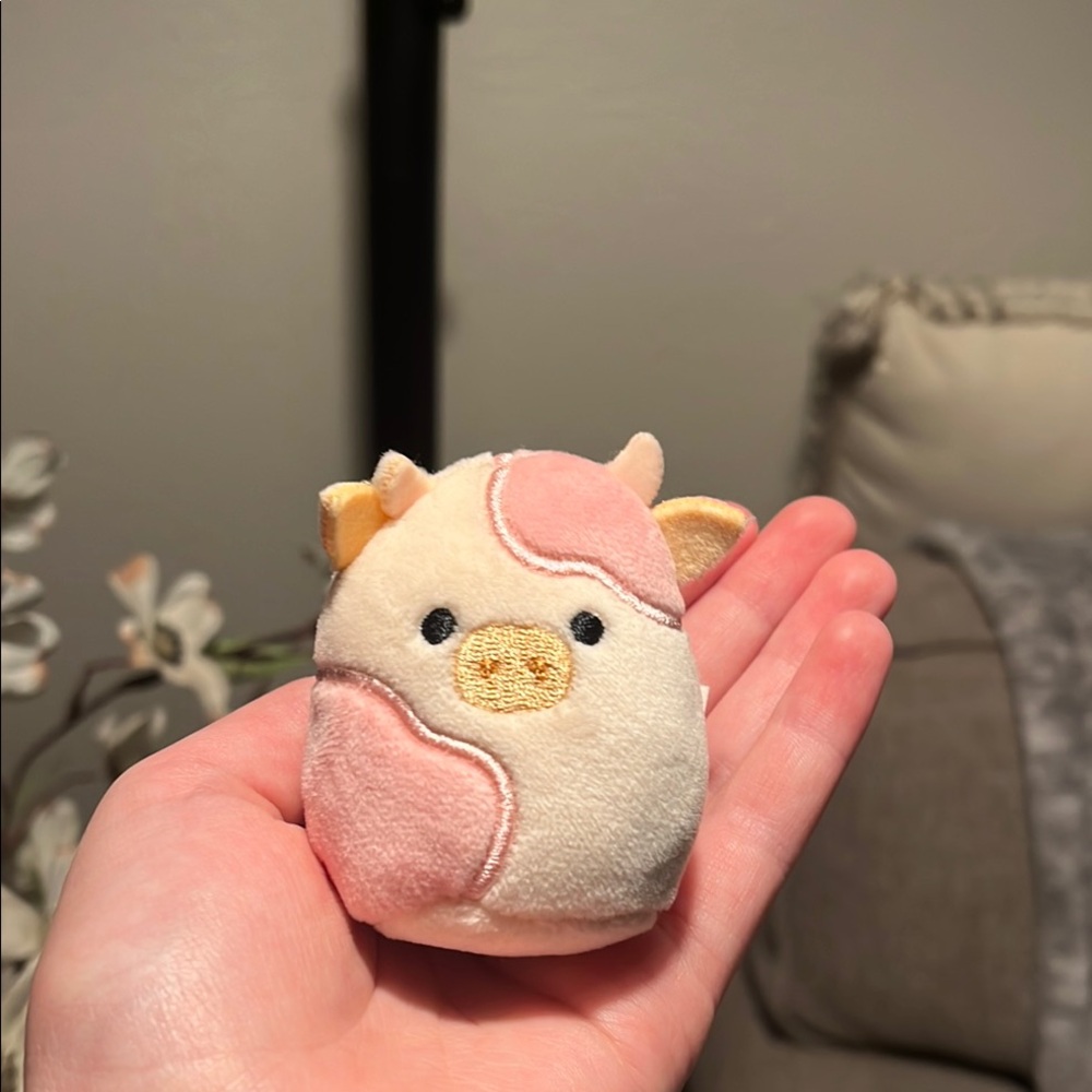 Reshma squishville squishmallow!